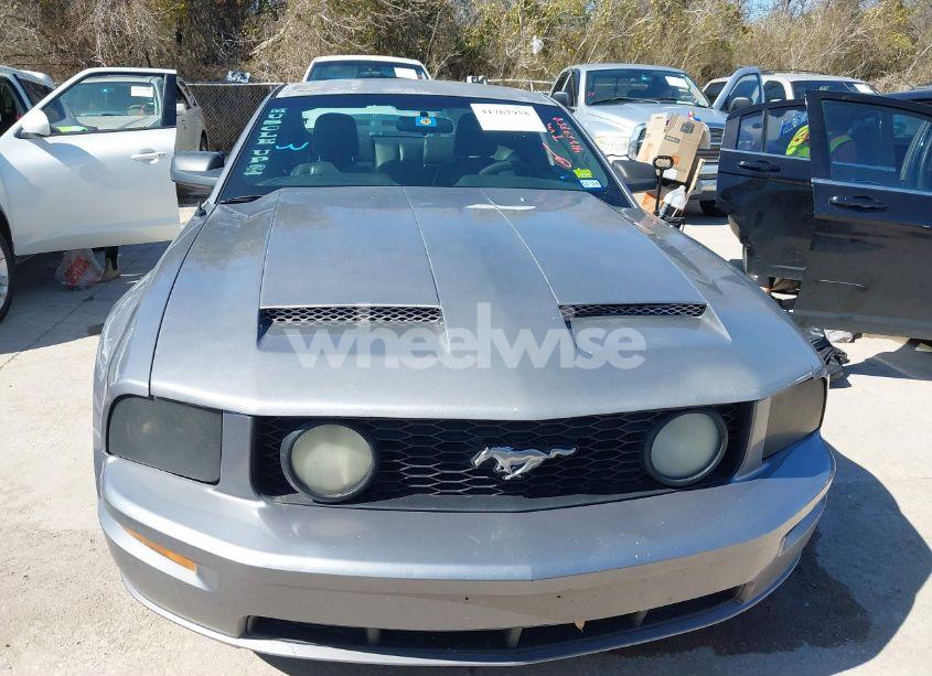 Photo 12 of 2006 Ford Mustang GT (VIN 1ZVHT82H365102834)