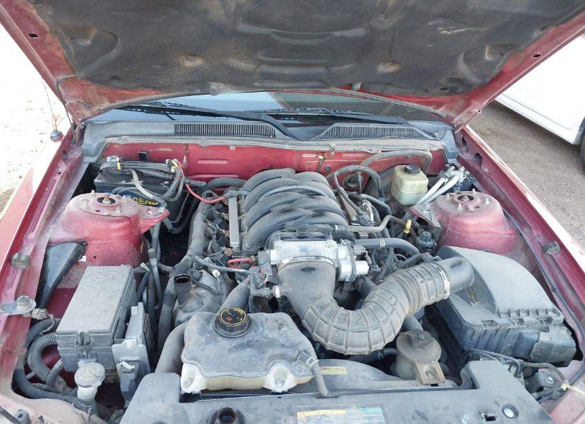 Photo 10 of 2006 Ford Mustang GT (VIN 1ZVHT82H365162385)