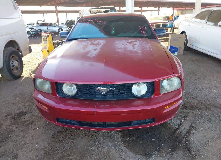 Photo 12 of 2006 Ford Mustang GT (VIN 1ZVHT82H365162385)