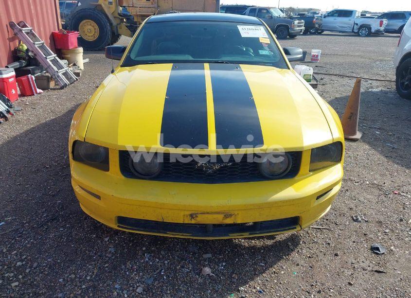 Photo 12 of 2006 Ford Mustang GT (VIN 1ZVHT82H365197864)