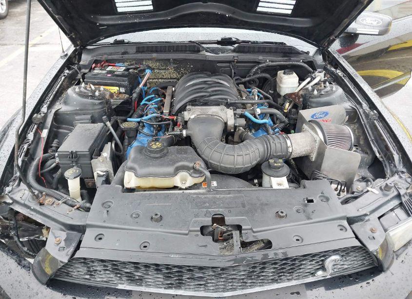 Photo 10 of 2006 Ford Mustang GT (VIN 1ZVHT82H365250577)