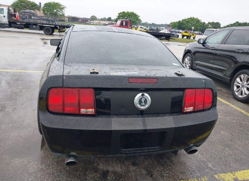 Photo 16 of 2006 Ford Mustang GT (VIN 1ZVHT82H365250577)