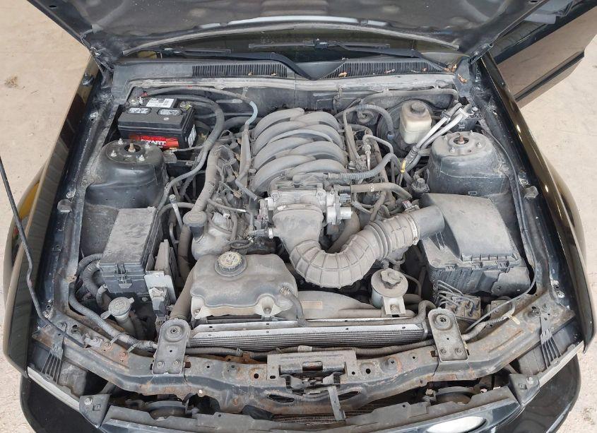 Photo 10 of 2007 Ford Mustang GT DELUXE/GT PREMIUM (VIN 1ZVHT82H375308513)