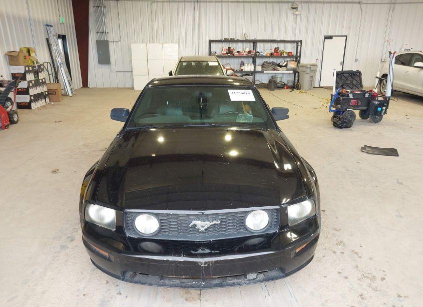 Photo 12 of 2007 Ford Mustang GT DELUXE/GT PREMIUM (VIN 1ZVHT82H375308513)