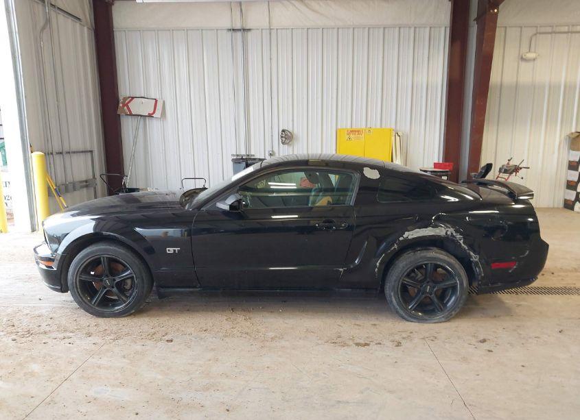 Photo 14 of 2007 Ford Mustang GT DELUXE/GT PREMIUM (VIN 1ZVHT82H375308513)