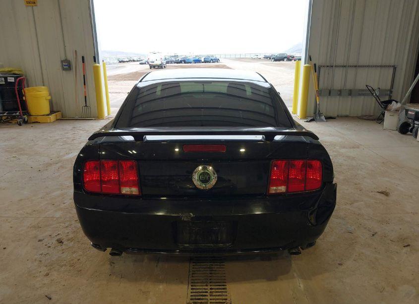 Photo 16 of 2007 Ford Mustang GT DELUXE/GT PREMIUM (VIN 1ZVHT82H375308513)