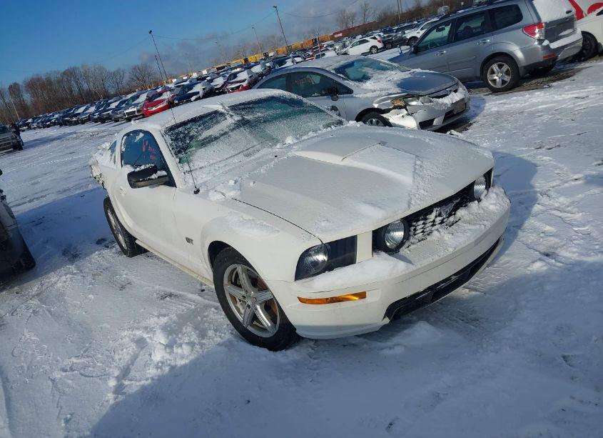 2008 Ford Mustang GT PREMIUM (VIN 1ZVHT82H385102979) main photo