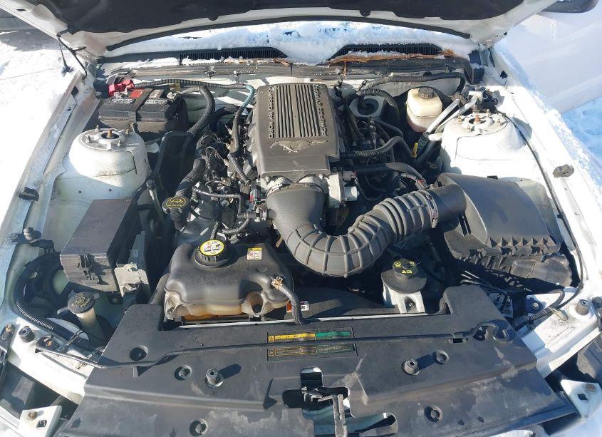 Photo 10 of 2008 Ford Mustang GT PREMIUM (VIN 1ZVHT82H385102979)