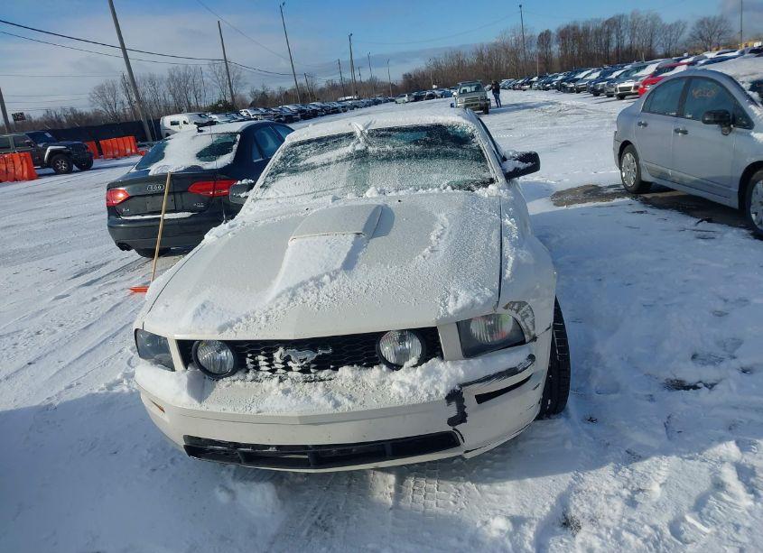 Photo 13 of 2008 Ford Mustang GT PREMIUM (VIN 1ZVHT82H385102979)