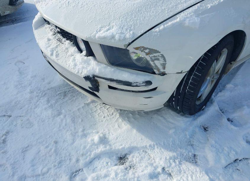 Photo 18 of 2008 Ford Mustang GT PREMIUM (VIN 1ZVHT82H385102979)