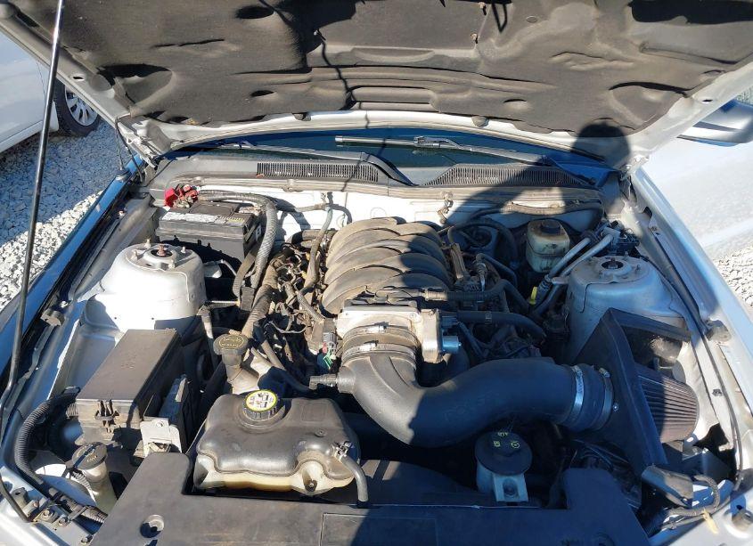 Photo 10 of 2008 Ford Mustang GT DELUXE/GT PREMIUM (VIN 1ZVHT82H385129485)