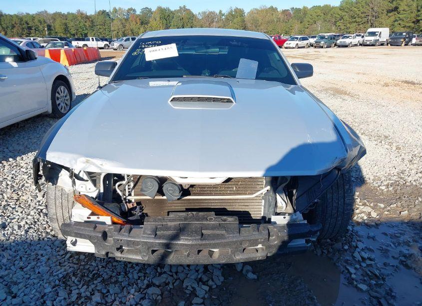 Photo 12 of 2008 Ford Mustang GT DELUXE/GT PREMIUM (VIN 1ZVHT82H385129485)