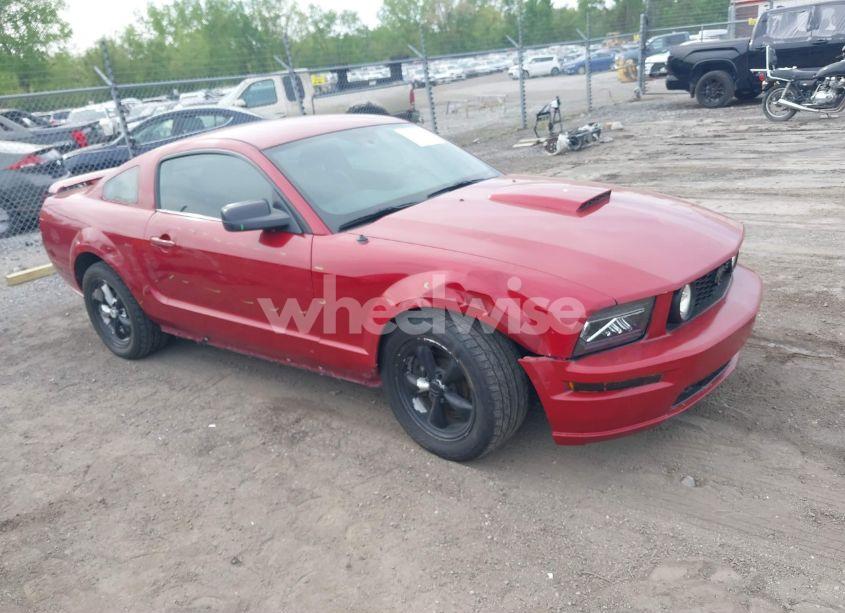 2008 Ford Mustang GT DELUXE/GT PREMIUM (VIN 1ZVHT82H485169008) main photo