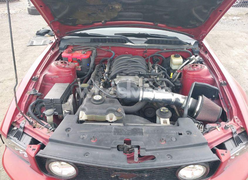 Photo 10 of 2008 Ford Mustang GT DELUXE/GT PREMIUM (VIN 1ZVHT82H485169008)