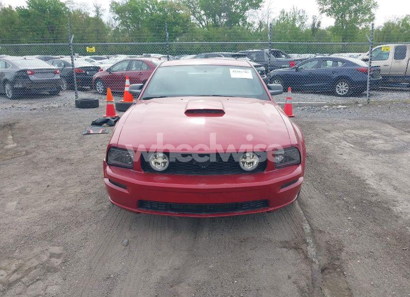 Photo 12 of 2008 Ford Mustang GT DELUXE/GT PREMIUM (VIN 1ZVHT82H485169008)
