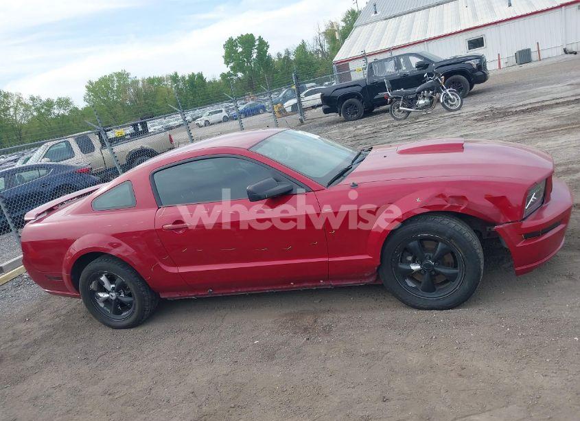 Photo 13 of 2008 Ford Mustang GT DELUXE/GT PREMIUM (VIN 1ZVHT82H485169008)