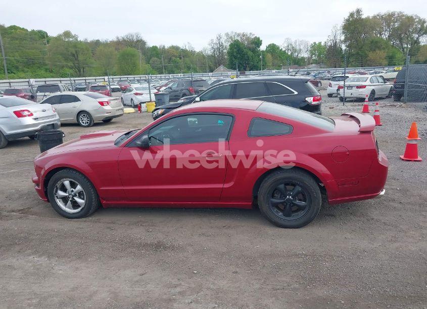 Photo 14 of 2008 Ford Mustang GT DELUXE/GT PREMIUM (VIN 1ZVHT82H485169008)