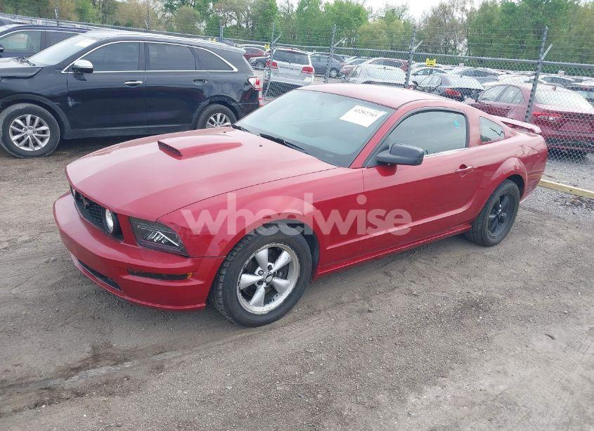 Photo 2 of 2008 Ford Mustang GT DELUXE/GT PREMIUM (VIN 1ZVHT82H485169008)