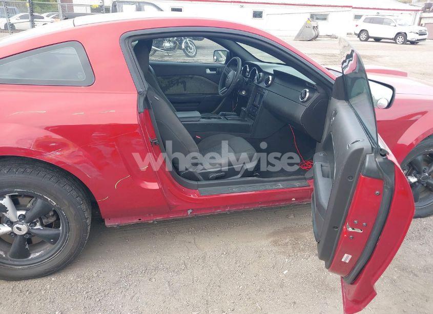 Photo 5 of 2008 Ford Mustang GT DELUXE/GT PREMIUM (VIN 1ZVHT82H485169008)