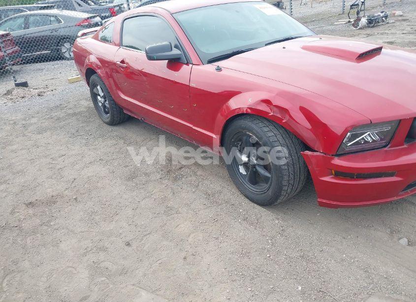 Photo 6 of 2008 Ford Mustang GT DELUXE/GT PREMIUM (VIN 1ZVHT82H485169008)