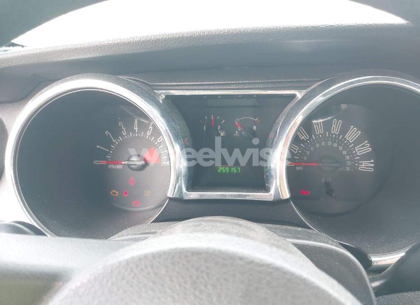 Photo 7 of 2008 Ford Mustang GT DELUXE/GT PREMIUM (VIN 1ZVHT82H485169008)