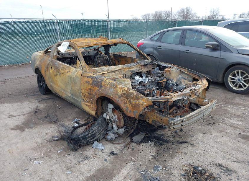 2008 Ford Mustang GT DELUXE/GT PREMIUM (VIN 1ZVHT82H485173060) main photo