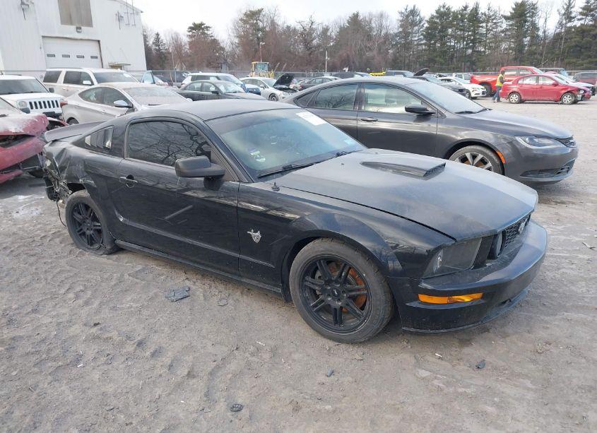 2009 Ford Mustang GT/GT PREMIUM (VIN 1ZVHT82H495107545) main photo
