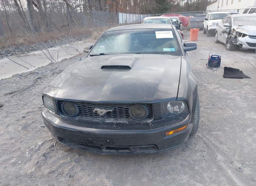Photo 12 of 2009 Ford Mustang GT/GT PREMIUM (VIN 1ZVHT82H495107545)