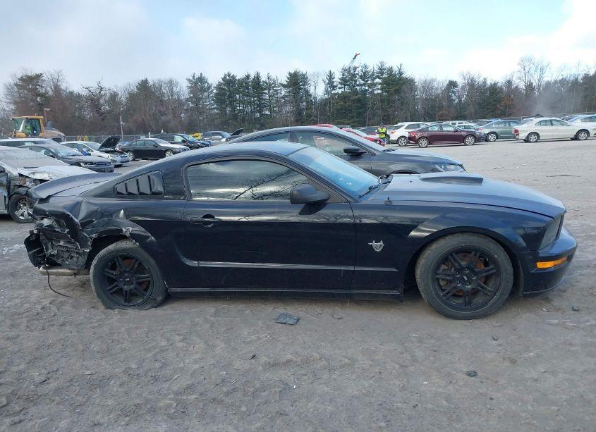 Photo 13 of 2009 Ford Mustang GT/GT PREMIUM (VIN 1ZVHT82H495107545)