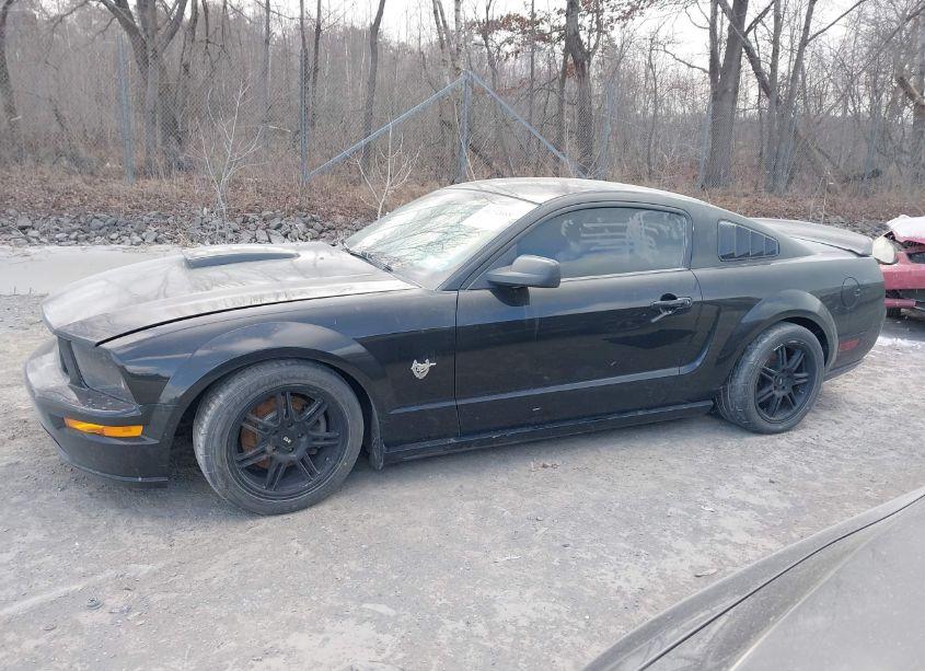 Photo 14 of 2009 Ford Mustang GT/GT PREMIUM (VIN 1ZVHT82H495107545)