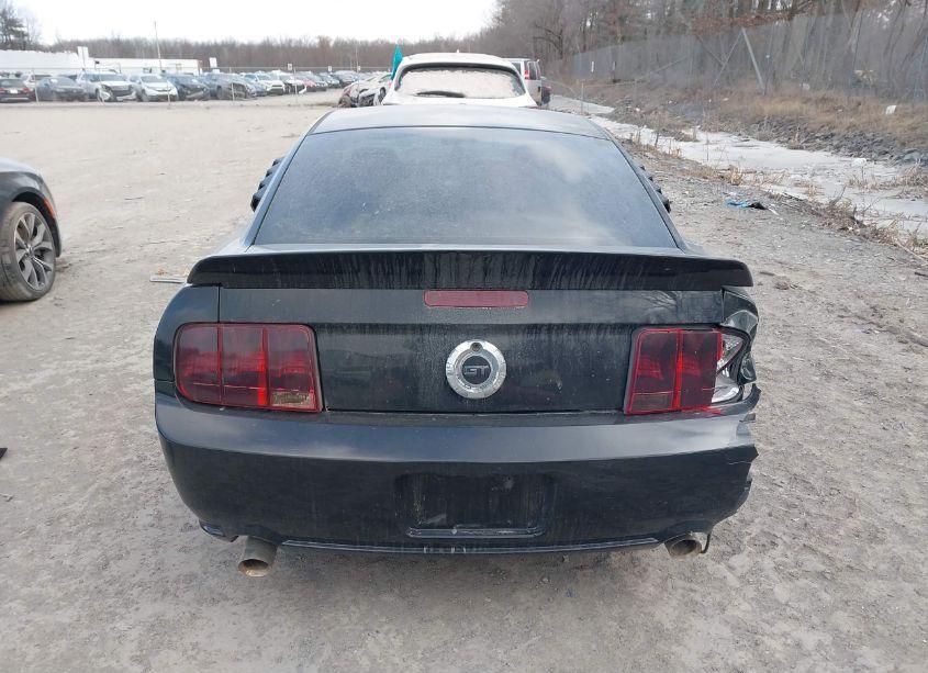 Photo 16 of 2009 Ford Mustang GT/GT PREMIUM (VIN 1ZVHT82H495107545)