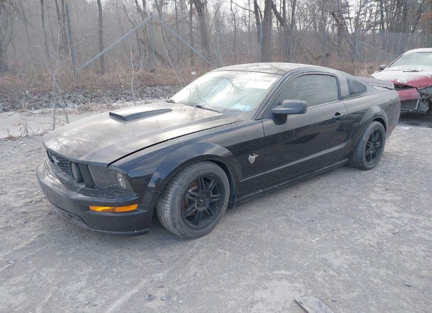 Photo 2 of 2009 Ford Mustang GT/GT PREMIUM (VIN 1ZVHT82H495107545)