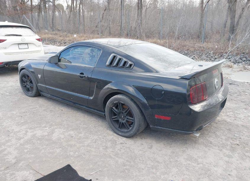 Photo 3 of 2009 Ford Mustang GT/GT PREMIUM (VIN 1ZVHT82H495107545)