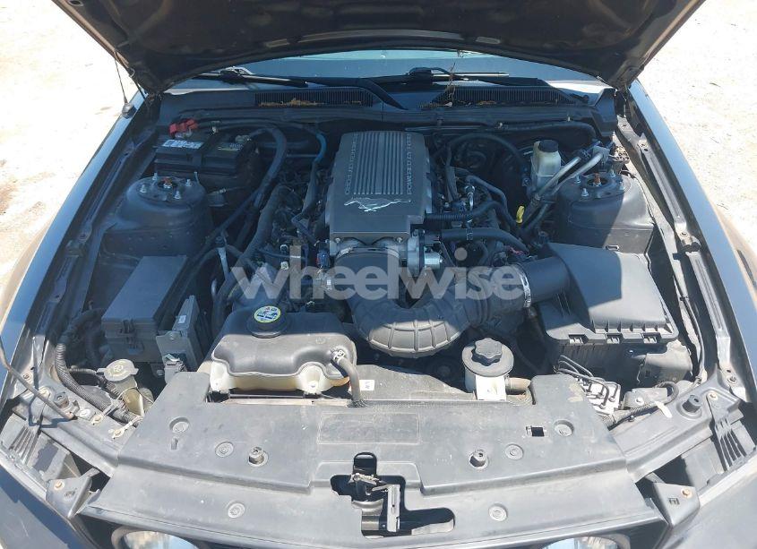 Photo 10 of 2009 Ford Mustang GT/GT PREMIUM (VIN 1ZVHT82H495133224)