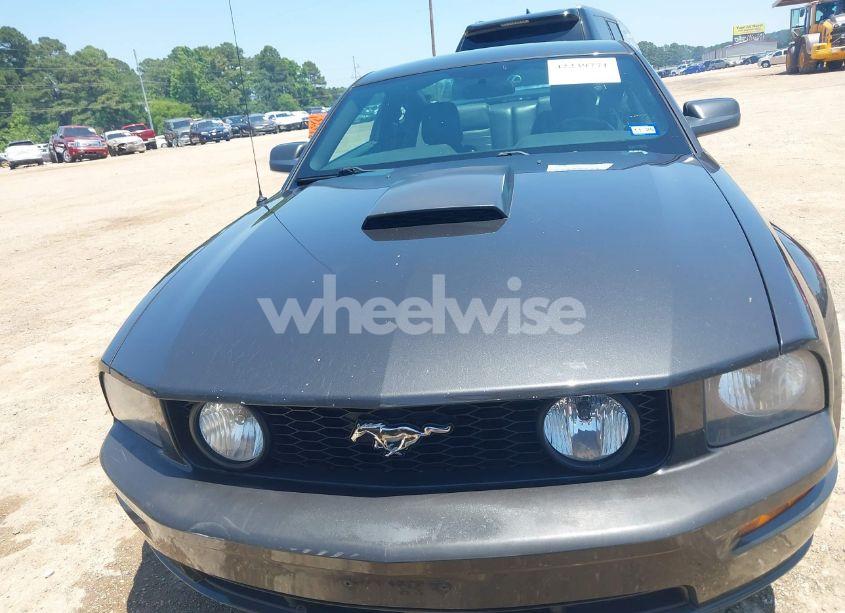 Photo 12 of 2009 Ford Mustang GT/GT PREMIUM (VIN 1ZVHT82H495133224)