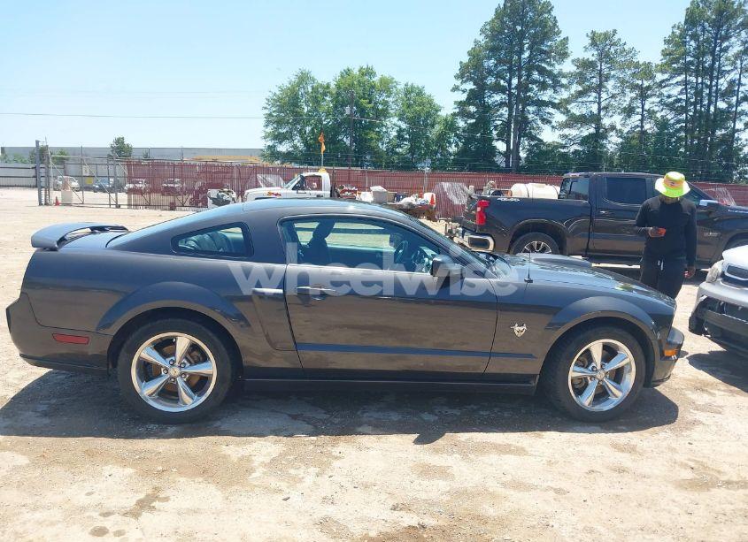 Photo 13 of 2009 Ford Mustang GT/GT PREMIUM (VIN 1ZVHT82H495133224)