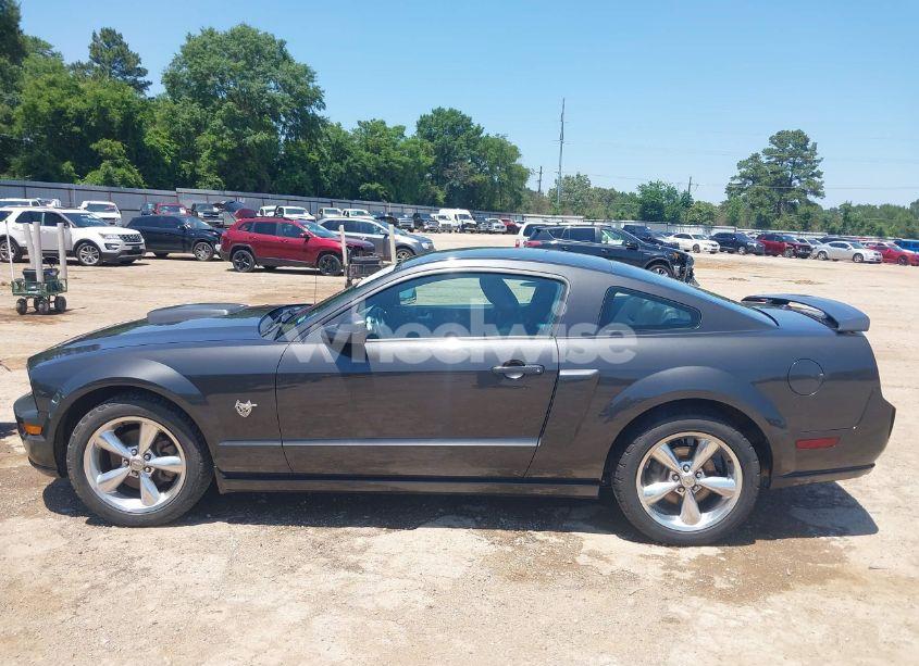 Photo 14 of 2009 Ford Mustang GT/GT PREMIUM (VIN 1ZVHT82H495133224)