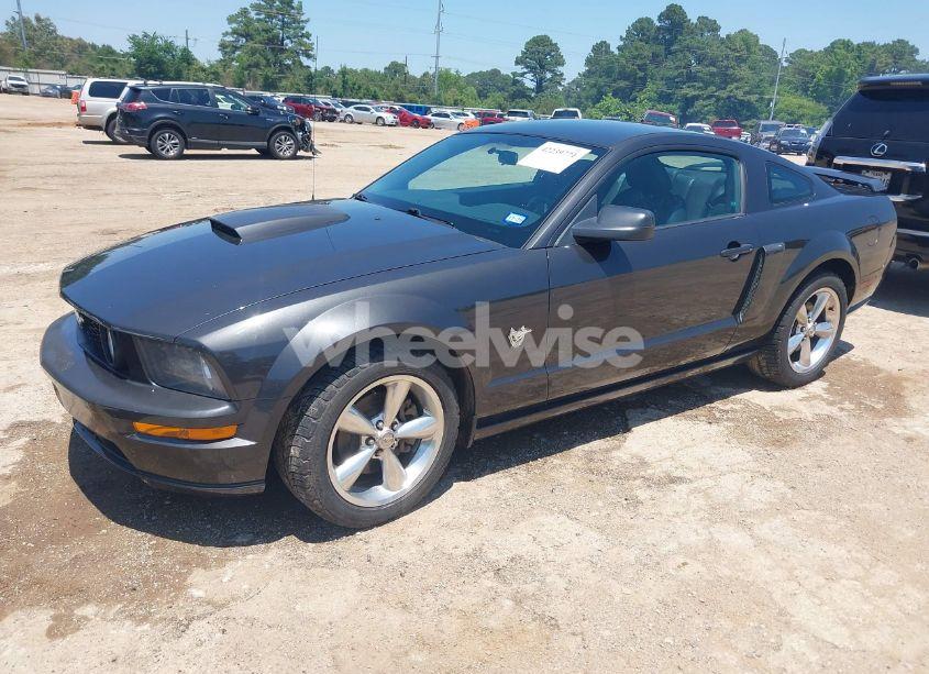 Photo 2 of 2009 Ford Mustang GT/GT PREMIUM (VIN 1ZVHT82H495133224)
