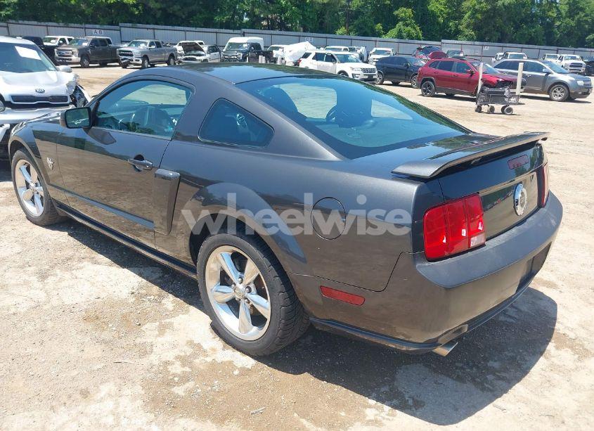 Photo 3 of 2009 Ford Mustang GT/GT PREMIUM (VIN 1ZVHT82H495133224)
