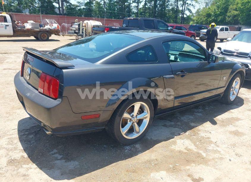 Photo 4 of 2009 Ford Mustang GT/GT PREMIUM (VIN 1ZVHT82H495133224)
