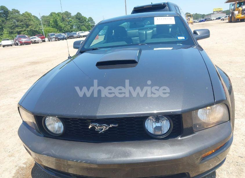 Photo 6 of 2009 Ford Mustang GT/GT PREMIUM (VIN 1ZVHT82H495133224)