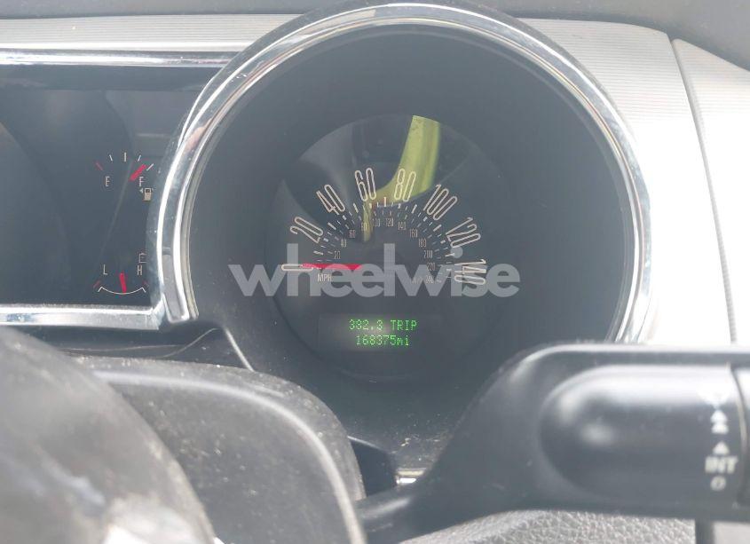 Photo 7 of 2009 Ford Mustang GT/GT PREMIUM (VIN 1ZVHT82H495133224)