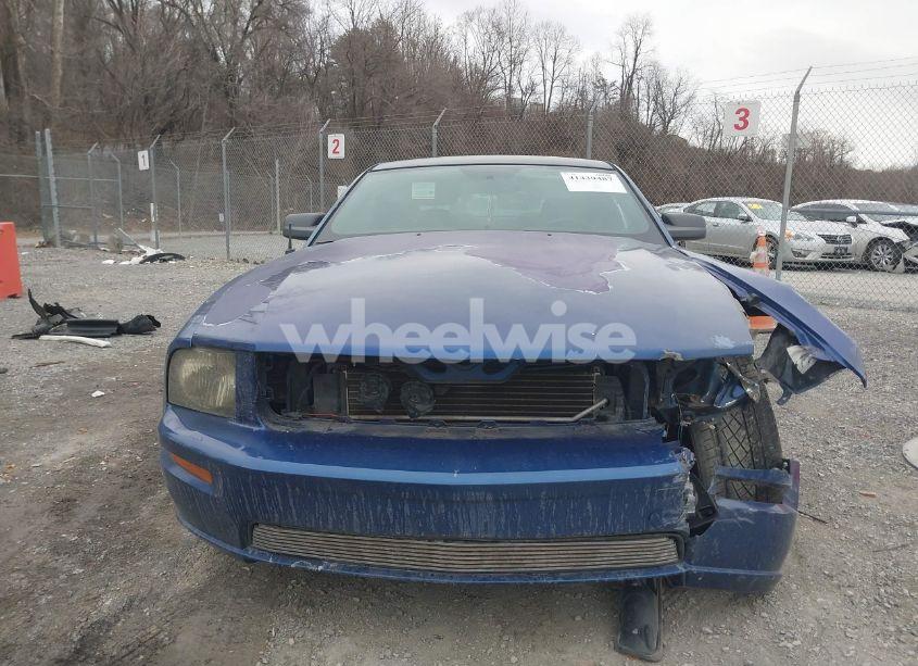 Photo 12 of 2007 Ford Mustang GT DELUXE/GT PREMIUM (VIN 1ZVHT82H575197639)