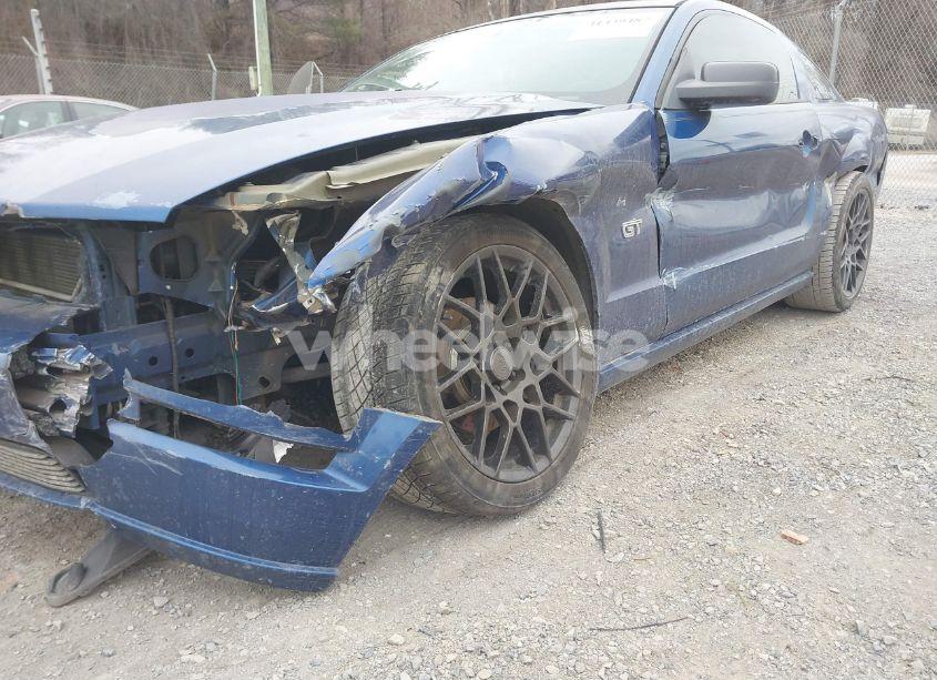 Photo 6 of 2007 Ford Mustang GT DELUXE/GT PREMIUM (VIN 1ZVHT82H575197639)