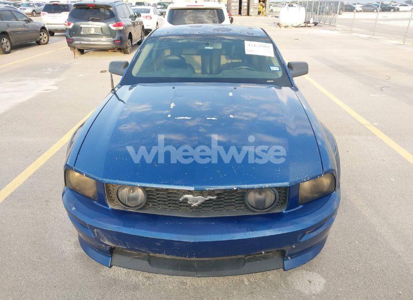 Photo 12 of 2007 Ford Mustang GT DELUXE/GT PREMIUM (VIN 1ZVHT82H575243065)