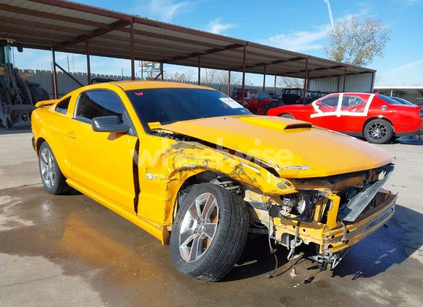 2008 Ford Mustang GT DELUXE/GT PREMIUM (VIN 1ZVHT82H585199019) main photo