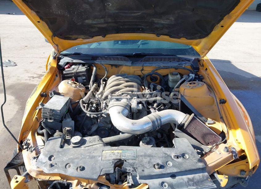 Photo 10 of 2008 Ford Mustang GT DELUXE/GT PREMIUM (VIN 1ZVHT82H585199019)