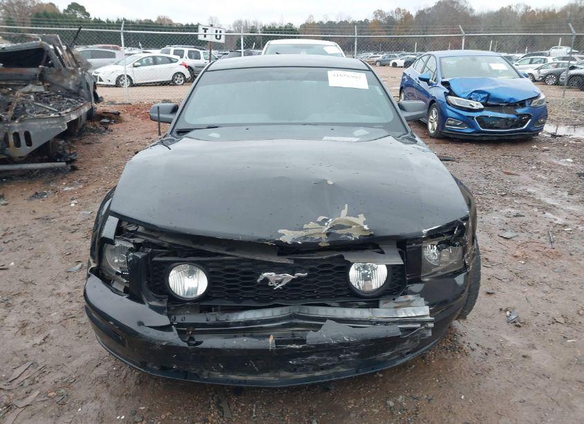 Photo 11 of 2009 Ford Mustang GT/GT PREMIUM (VIN 1ZVHT82H595107196)