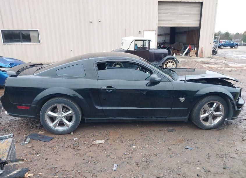 Photo 12 of 2009 Ford Mustang GT/GT PREMIUM (VIN 1ZVHT82H595107196)