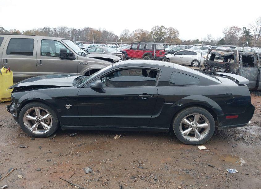 Photo 13 of 2009 Ford Mustang GT/GT PREMIUM (VIN 1ZVHT82H595107196)